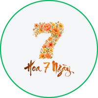 hoa7day
