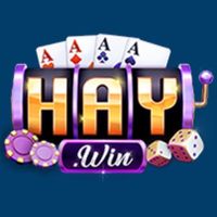 Haywin2archi