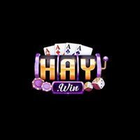 haywin1army