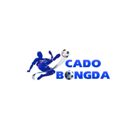 cadobongdaconcert