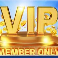TTVIP88