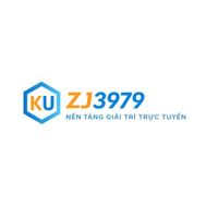zj3979nettech