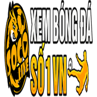 Socolivevin1