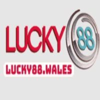 trangchulucky8