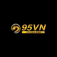 95vn5pro
