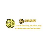 socolive2cam1