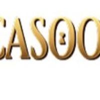 casoolacasino