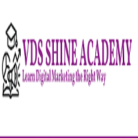 vdsshineacademy