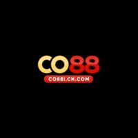 co88icncom