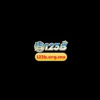 123borgmx