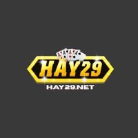 vnhay29vn