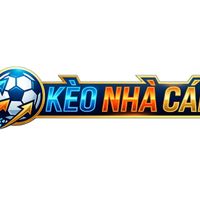 nhandinhkeonhacaiitcom