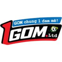 1gomllc1