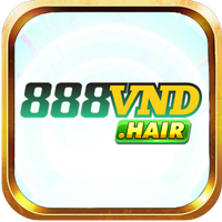 888vndhair