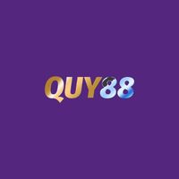 vnquy88