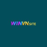 winvnwi