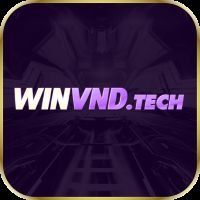 winvndtech