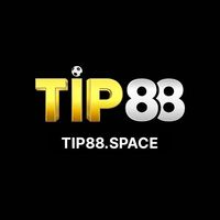 tip88space