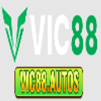 Vic88autos1vn