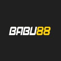 babu881org