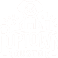 puptownhoustond