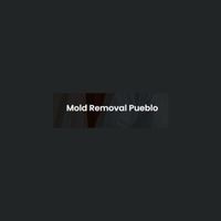 moldremovalpueblo