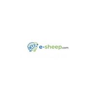 bongdaesheep