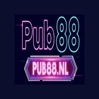 pub88nl