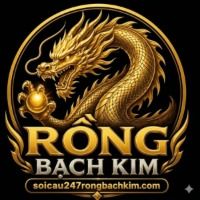 soicau247rongbachkimcom