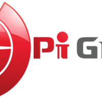 picitypigroupep