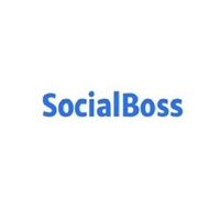 Socialbossindia
