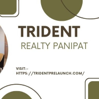 tridentrealty