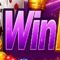 winbditcom1