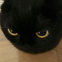 writhadece1
