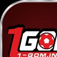 1gominfo1