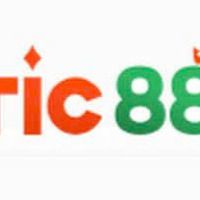 tic88vin