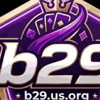 B29usorg1
