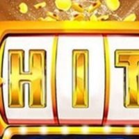 Hit23cnet1
