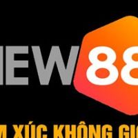 new88you3