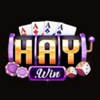 haywinvipuscom1