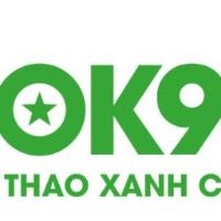 ok9vin01