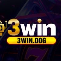 3windog