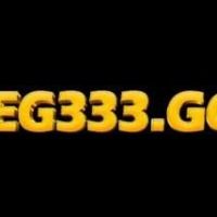 eg333gg1