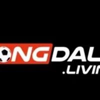 bongdalulivin