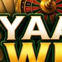 yaarwinlogin5