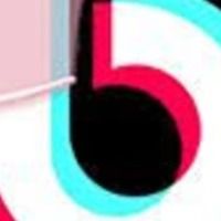 dylol11