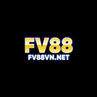 Fv88vnnet