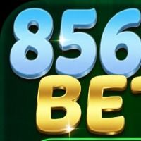 8566bet
