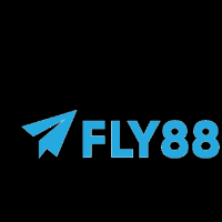 fly888snet 0