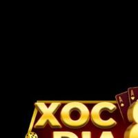 cgxocdia88com